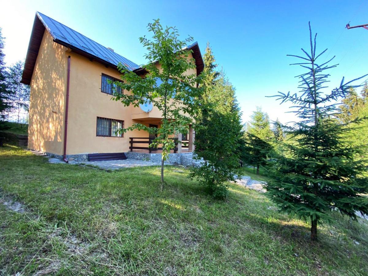 Casa Ionel Si Dani Villa Fundata Exteriör bild