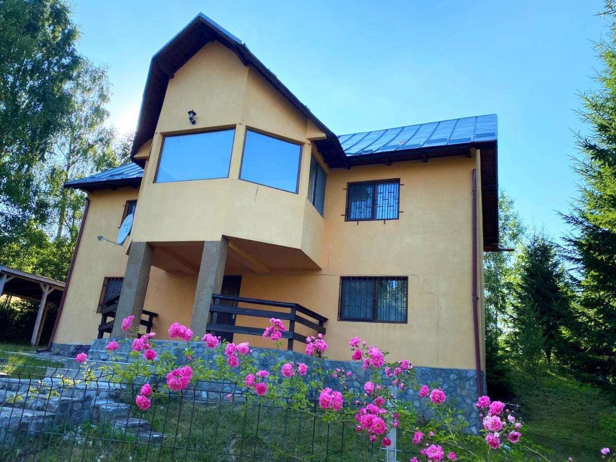 Casa Ionel Si Dani Villa Fundata Exteriör bild