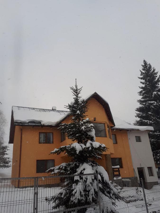 Casa Ionel Si Dani Villa Fundata Exteriör bild